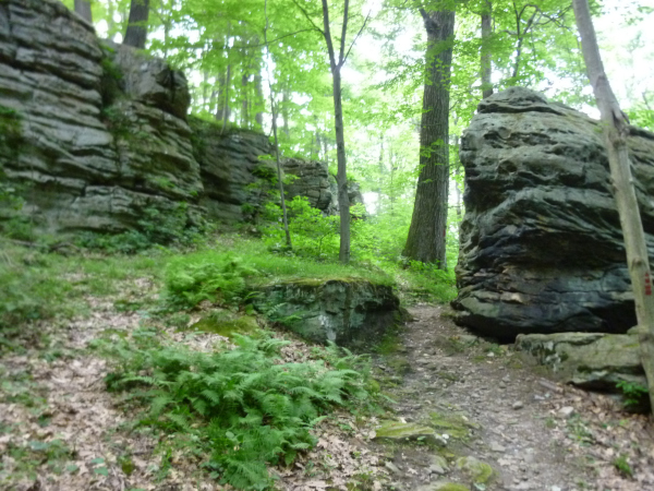 Jumonville Glen: A Tranquil French & Indian War Historical Site