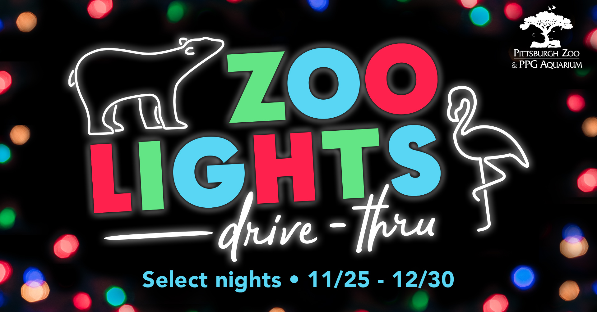 cleveland zoo lights drive thru